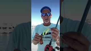 Do Fish Attractant Scents Workfishing redfish flounder [upl. by Coke]