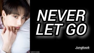 Never let Go Jungkook BTS 정국 lyrics [upl. by Nodarb]