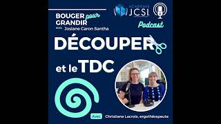 63 Apprendre à découper avec un TDC et Christiane Lacroix ✂️ [upl. by Haldan]