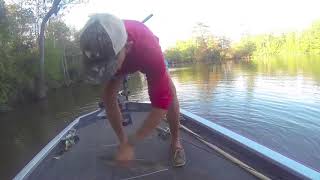 Bass fishing escambia river [upl. by Ailemor6]