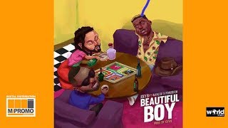 Joey B  Beautiful Boy ft Wanlov amp Yaa Pono Audio Slide [upl. by Kcirddahc]