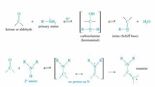 Ketones and Aldehydes  56 [upl. by Enilec726]