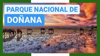 GUÍA COMPLETA ▶ PARQUE NACIONAL DE DOÑANA ESPAÑA 🇪🇸 🌏 Turismo y viajes a ANDALUCÍA [upl. by Blackstock]