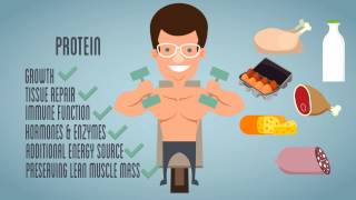 Macro Nutrients Explainer Video [upl. by Airreis]