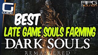 DARK SOULS  Best Late Game Souls Farming Method [upl. by Dirgis]