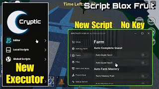 UPDATE  EXECUTOR amp SCRIPT BLOX FRUIT FREE NO KEY WORK ALL EXECUTOR amp DEVICE ANTI ROLE BACK 🚀 [upl. by Aynuat113]