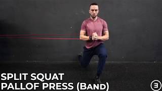 Split Squat Pallof Press Band [upl. by Walsh]