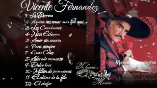 Vicente Fernandez Album para siempre [upl. by Comstock]