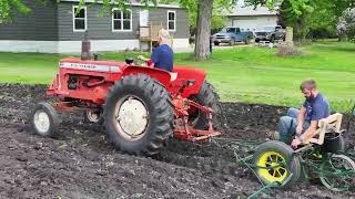 Spring Tillage  Pumpkin Planting 2024  Braams Family Farm [upl. by Rambert]