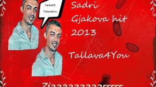 Sadri Gjakova amp Visar Japani met kall hit 2013 by salikel88 [upl. by Gaiser]