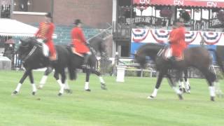 Celle Stallions  Spruce Meadows  2012 [upl. by Graner]