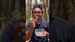 Wow SIMPLE and very USEFUL 🪮 camping survival bushcraft outdoors [upl. by Euqinomod]