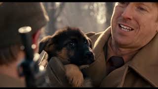 Finding Rin Tin Tin 2007  Trailer [upl. by Javed]