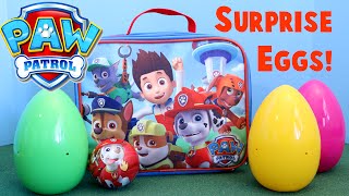 Paw Patrol Surprise Lunchbox Egg Opening Blind Bag Toys [upl. by Thissa]