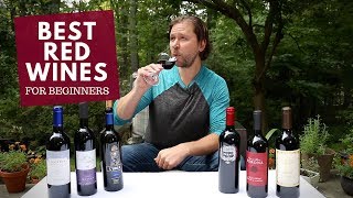 The Best Red Wines For Beginners Series 3 Merlot [upl. by Jez521]