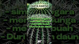 Fakta Menarik Tentang Kaktus fakta kaktus mitosataufakta [upl. by Albertson990]