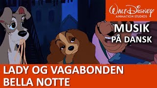 Rapunzel møder Flynn Rider  To på Flugt  Disneyklassiker Danmark [upl. by Aliakam]