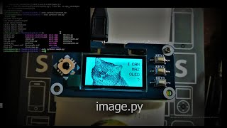 SH1106 13 OLED HAT Waveshare  Python examples video [upl. by Susej]