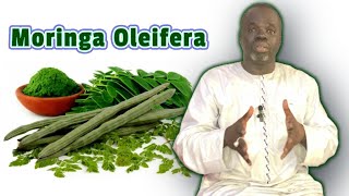 Ndiarignou Garabou Sapsap  Moringa Oleifera  Pr Ousmane Ndiaye  SAMA XALAAT TV [upl. by Vince249]