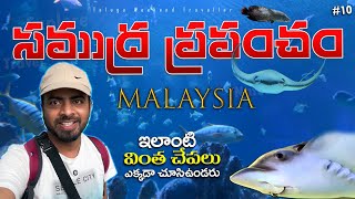 సముద్ర ప్రపంచం Aquaria KLCC  Malaysia🇲🇾 TeluguTravelvlogs  Malaysia tour guide malaysiateluguvlog [upl. by Nazar]