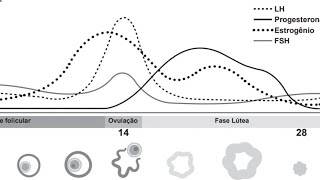 Ciclo Menstrual  Simulado Enem SAS 2023 [upl. by Ifar]