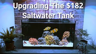 Simple Saltwater Tank Part 2 Getting Ready For Corals [upl. by Neleh883]