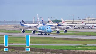 【デカすぎ】那覇空港に世界最大の旅客機が来たらこうなる！【A380ANA】 [upl. by Yecies]