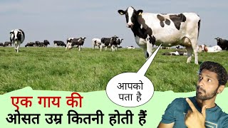 एक गाय की ओसत उम्र कितनी होती हैं आपको पता है 🐄 What is the Average age of a Cow facts no 2 [upl. by Denver]