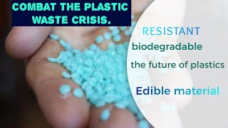 Israeli Scientists Develop Biodegradable Edible Plastic to Combat Waste [upl. by Auhoj863]