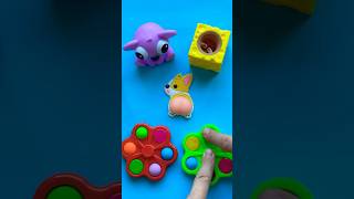 Great Squishy Corgi Work 🤩🤣😵‍💫 satisfying great squishy baby corgi funny shorts [upl. by Michell489]