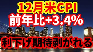 【米国経済】111米消費者物価指数解説！予想を上回り、ドル高、金利上昇！FRBの利下げ期待後退 [upl. by Solana]