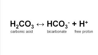 Water Chemistry Part 5 Buffers and pH [upl. by Stanfill]