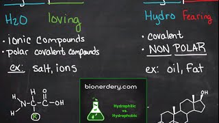 Hydrophilic vs Hydrophobic [upl. by Mayberry115]