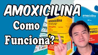 amoxicilina como funciona [upl. by Robma]