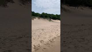 Mauihowey’s Videos Saugatuck dunes and beach on Lake Michigan🇺🇸shorts explore recommended [upl. by Nelrac884]