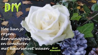 DIY rozen dennenappels en coniferen waxen I Gewaxte dennenappels voor kerststukje DekoideenLand [upl. by Eetnuahs59]