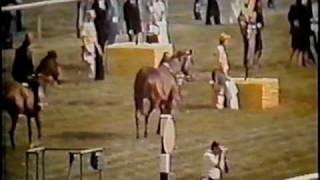 SECRETARIAT  1973 Preakness Stakes  Part 2 CBS [upl. by Orian]