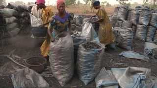 Charcoal Business in Nigeria [upl. by Fuchs]