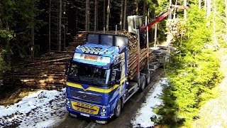 Volvo FH16 750 hp Timber truck amp Quadcopter Phantom 2 [upl. by Lorenza]