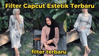 filter capcut estetik  estetik filter capcut filtercapcutestetik trending [upl. by Roeser]