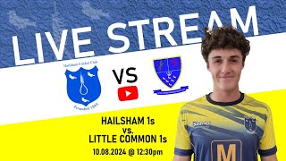 LIVE Hailsham V Little Common Sussex Cricket League  Division 4 East [upl. by Enyehc]