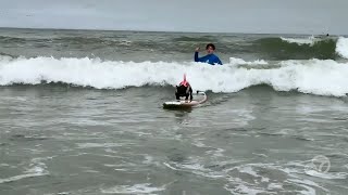 Thousands watch canines catch waves at World Dog Surfing Championships in Pacifica [upl. by Bohon]