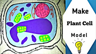 Simple and Easy way to make plant cell model  3d Styrofoam carving  Plants Cell  Handmade [upl. by Malvina288]