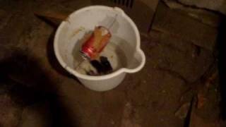 5 Gallon Bucket Mouse Trap [upl. by Notlehs]