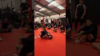 Brazilian Jiu Jitsu Seminars by Jason Tan captive the crowd 🥋 BJJ jiujitsu martialarts [upl. by Lesslie]