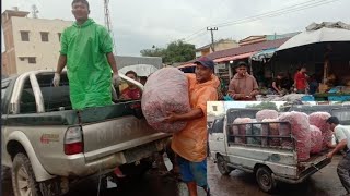 24 Maret 2024 Info Harga Cabai tomat kol kentang Pajak Tigapanah amp Pajak Roga Berastagi [upl. by Nichola]