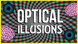 How and Why do Optical Illusions Work [upl. by Sina]