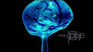 Neuroanatomy The Cerebrospinal Fluid CSF [upl. by Dahle236]