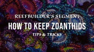 Zoanthids  How to Keep and Growing using Tips and Tricks Reefbuilders Video Segment [upl. by Spurgeon]