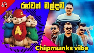 රන්වන් මල්දම් CHIPMUNKS VIBE [upl. by Ahsikan]